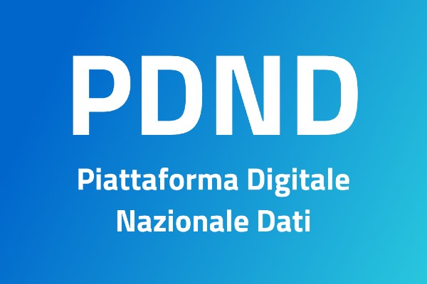 PDND — Piattaforma Digitale Nazionale Dati