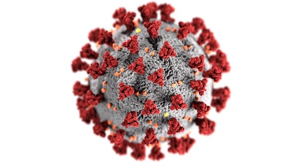 Immagine coronavirus