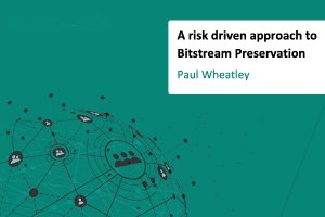 A risk driven approach to Bitstream Preservation
