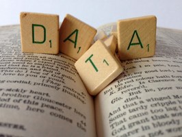 Data Protection Officer: una sentenza del TAR