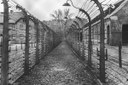 Online 19 milioni di documenti e 1,6 milioni di immagini sulle vittime dell'Olocausto