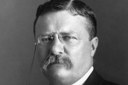 Online i Theodore Roosevelt Papers
